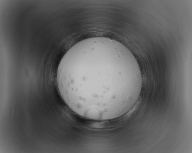 X0000088230178200705151056