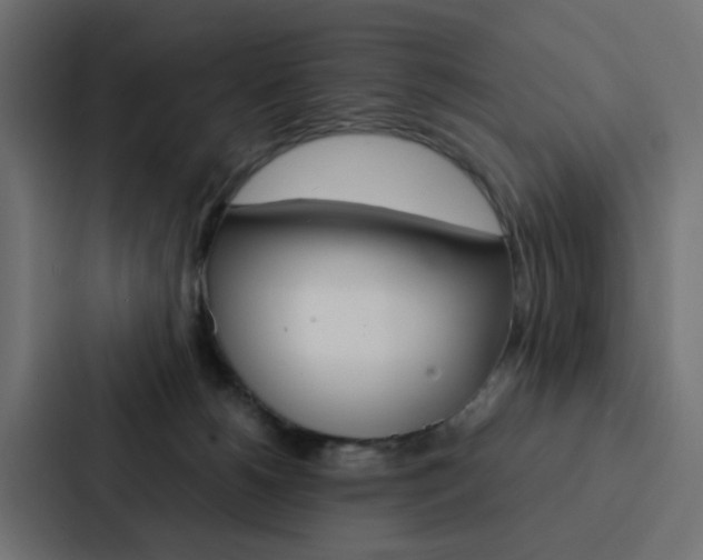 X0000088230180200705151056