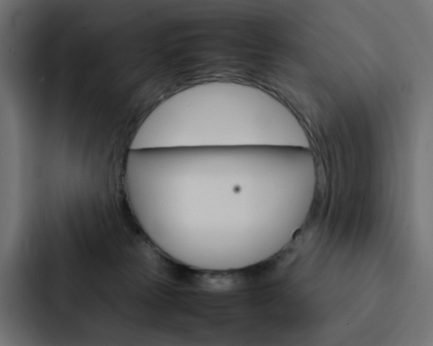 X0000088230181200705151056