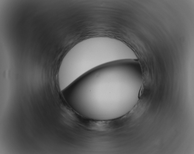 X0000088230184200705151056