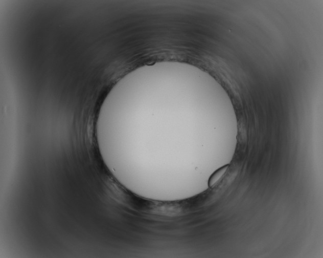 X0000088230185200705151056