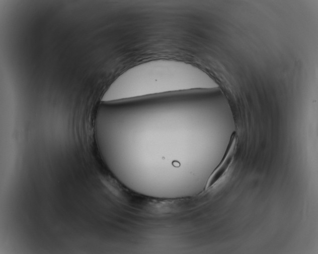 X0000088230186200705151056
