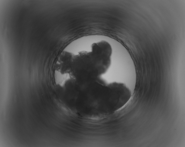 X0000088230187200705151056