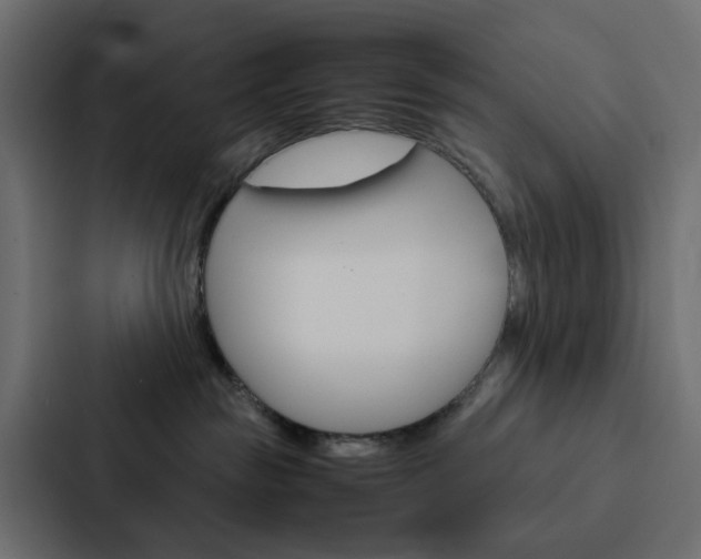 X0000088230189200705151056