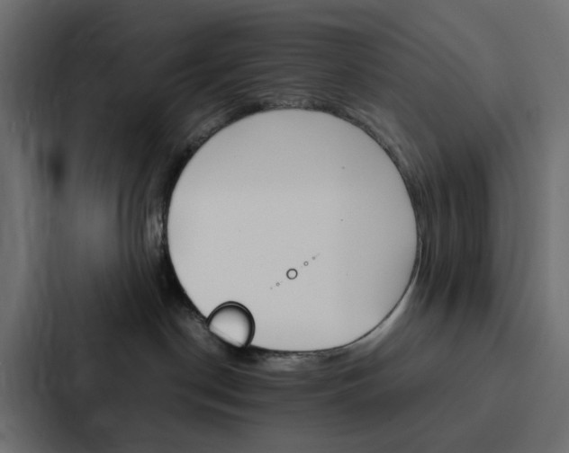 X0000088230190200705151056