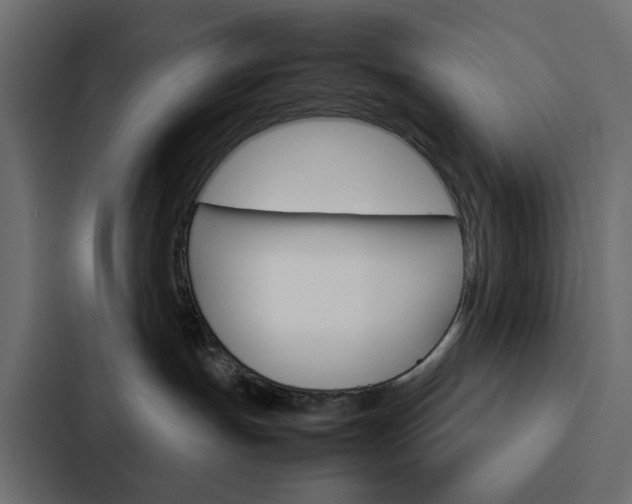 X0000088230191200705151056