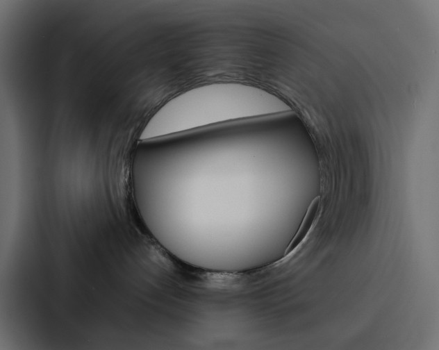 X0000088230192200705151056