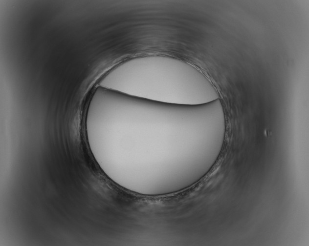 X0000088230194200705151055