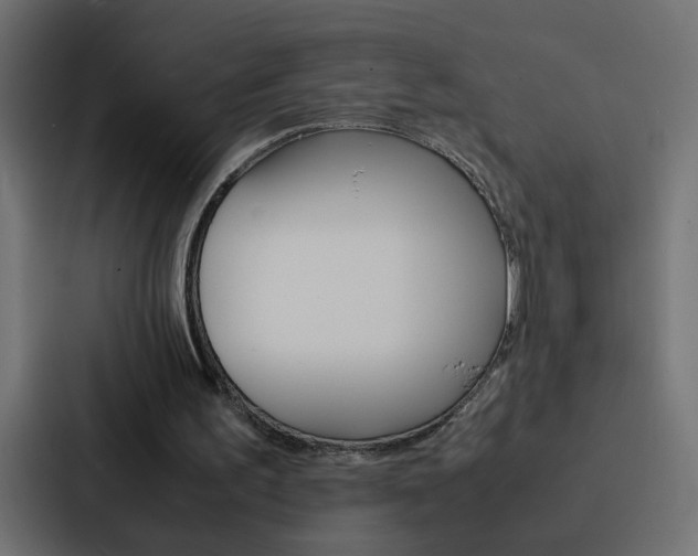 X0000088230195200705151055