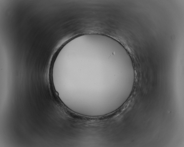 X0000088230196200705151055