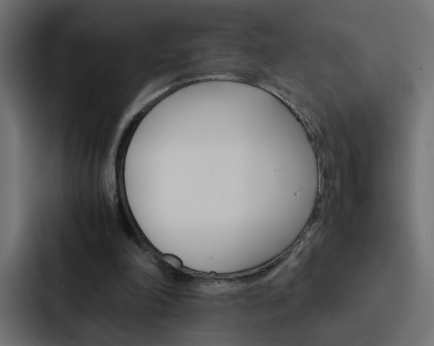 X0000088230198200705151055