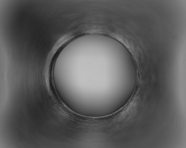 X0000088230199200705151055