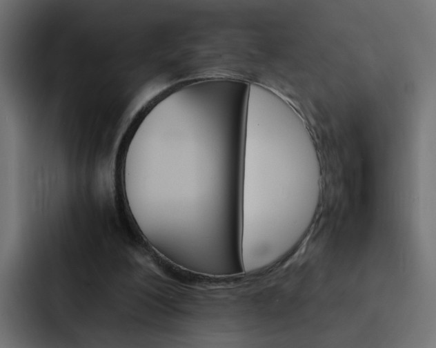 X0000088230200200705151055