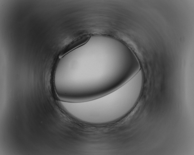 X0000088230201200705151055