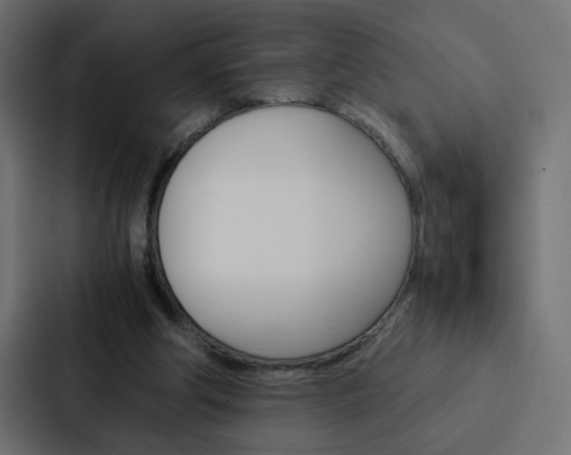 X0000088230202200705151055