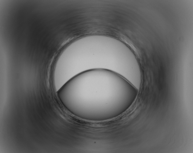 X0000088230203200705151055