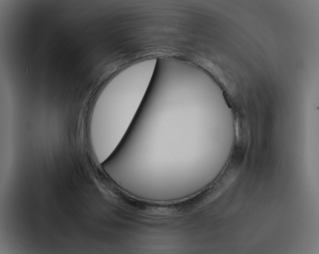 X0000088230205200705151055