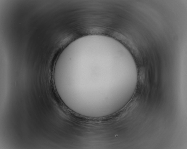 X0000088230206200705151055