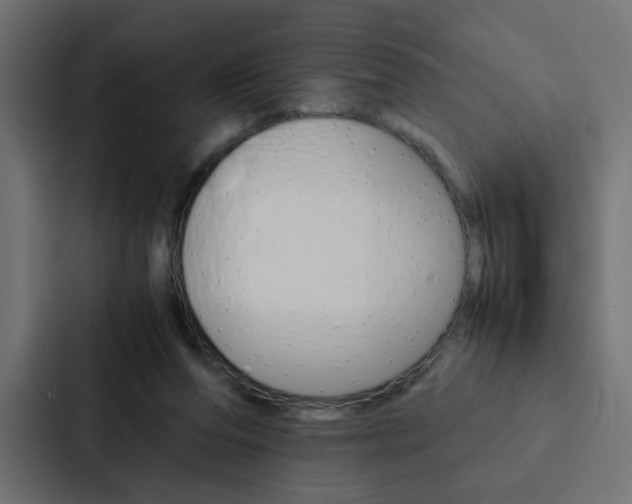 X0000088230208200705151055