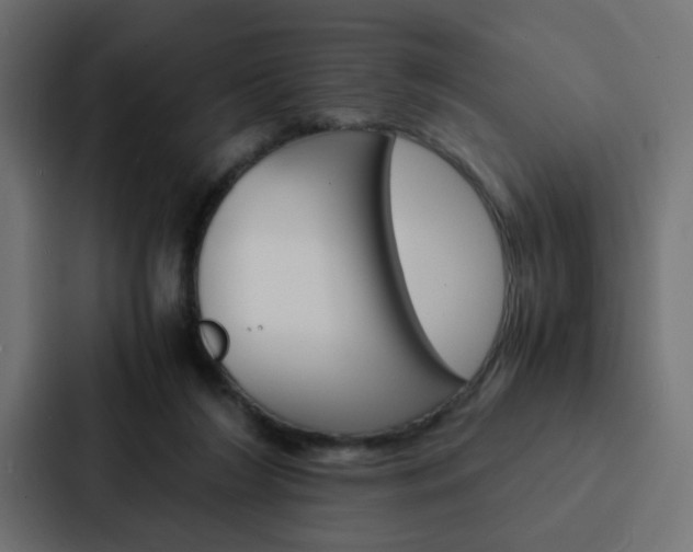 X0000088230212200705151055