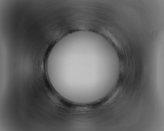 X0000088230213200705151055
