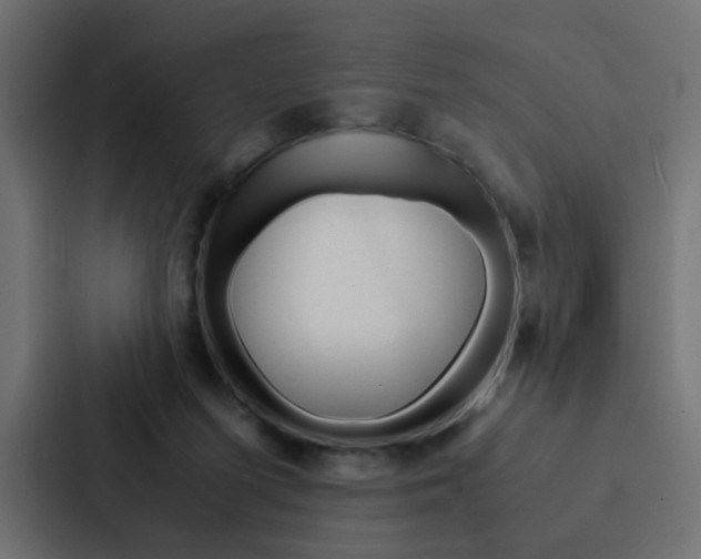 X0000088230215200705151055