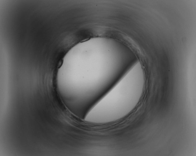 X0000088230217200705151055