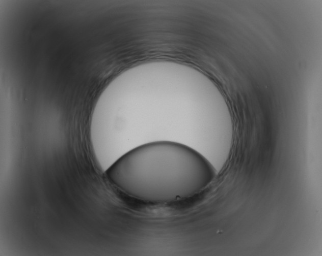 X0000088230219200705151055