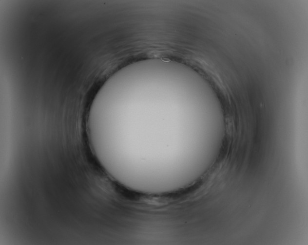 X0000088230221200705151055