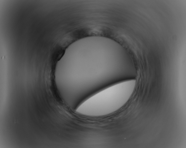 X0000088230223200705151055