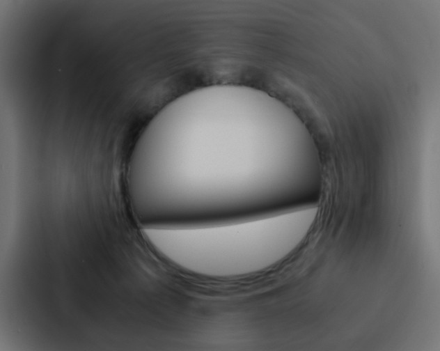 X0000088230225200705151055