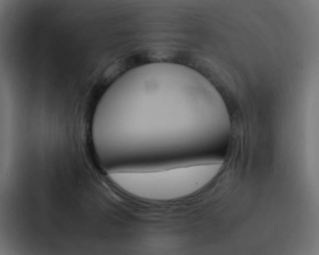 X0000088230227200705151055