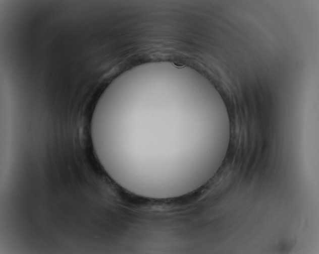X0000088230228200705151055