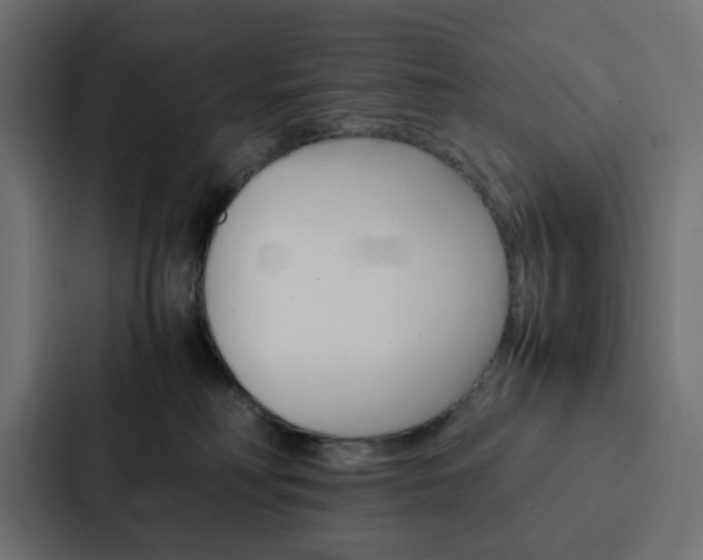 X0000088230230200705151055