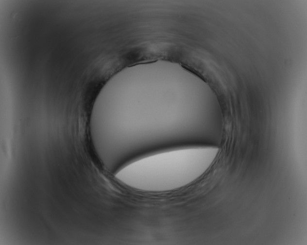 X0000088230231200705151055