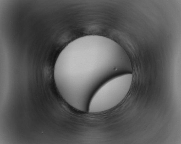 X0000088230232200705151055