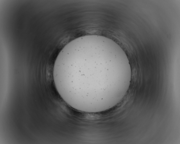 X0000088230234200705151055