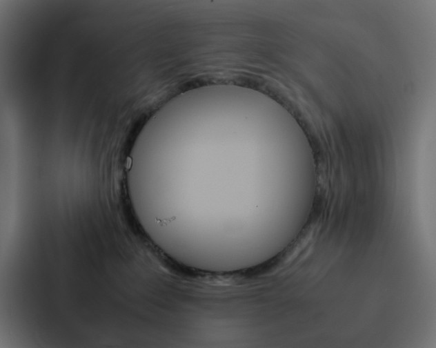 X0000088230235200705151055