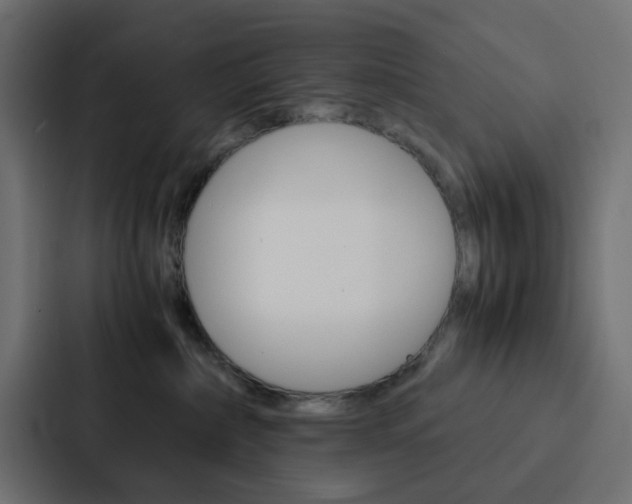 X0000088230236200705151055