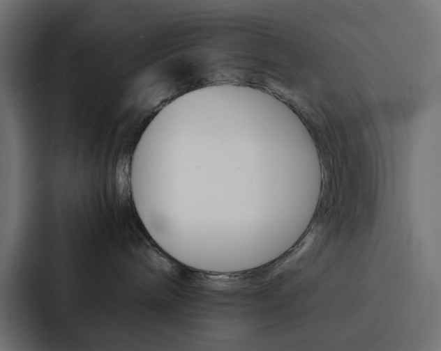 X0000088230240200705151055