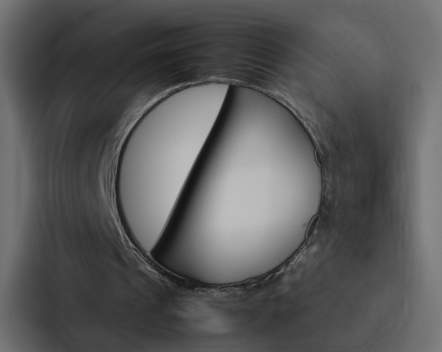 X0000088230241200705151054