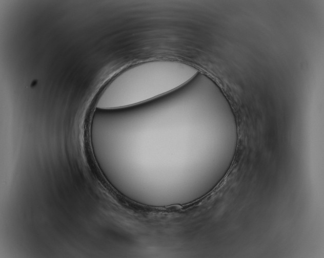 X0000088230242200705151054