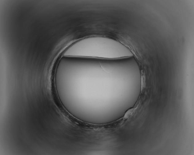 X0000088230243200705151054