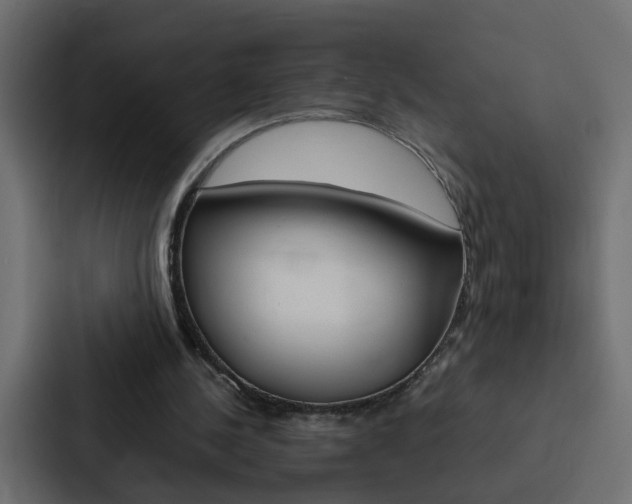 X0000088230244200705151054