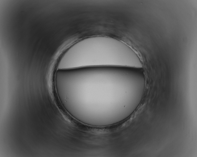X0000088230245200705151054