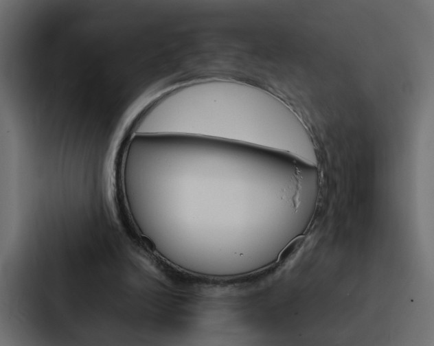 X0000088230246200705151054