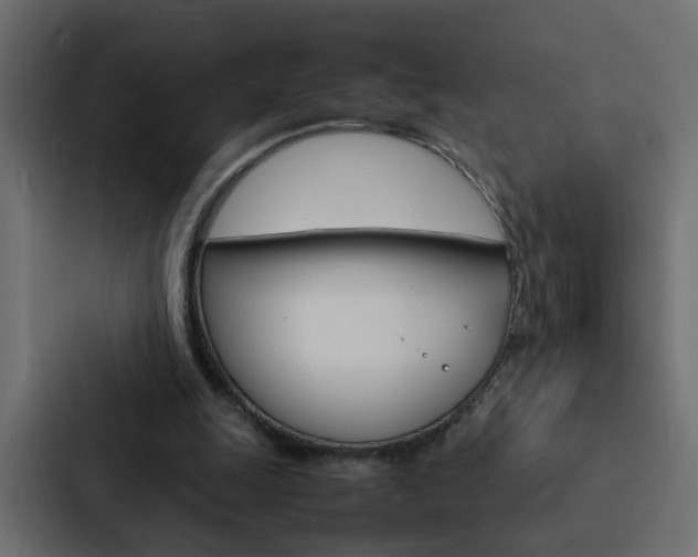 X0000088230247200705151054