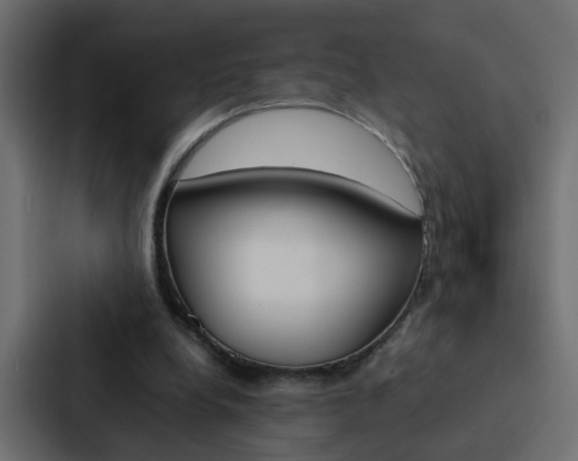 X0000088230248200705151054