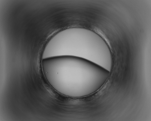 X0000088230249200705151054