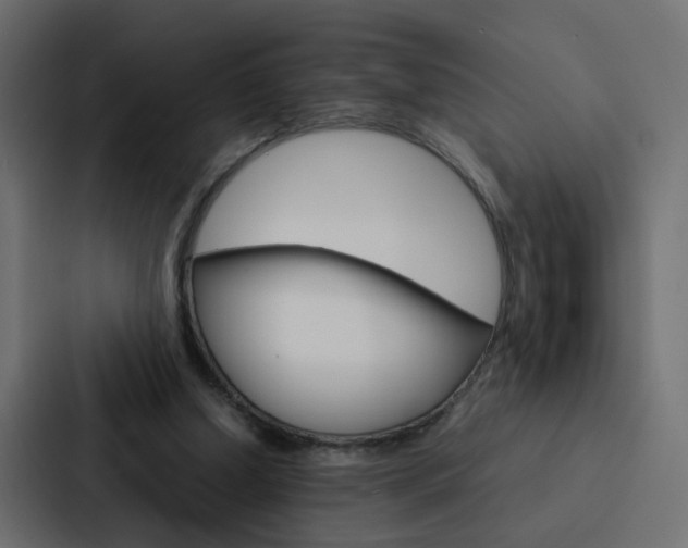 X0000088230250200705151054